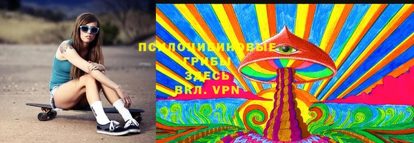 хмурый Зеленокумск