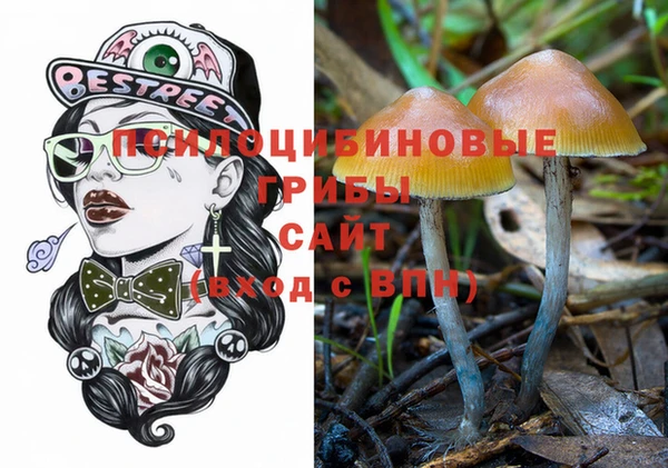 хмурый Зеленокумск
