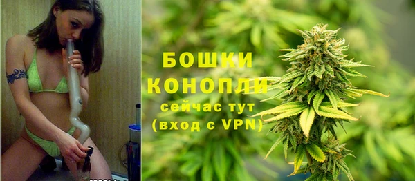 мяу мяу кристалл Иннополис