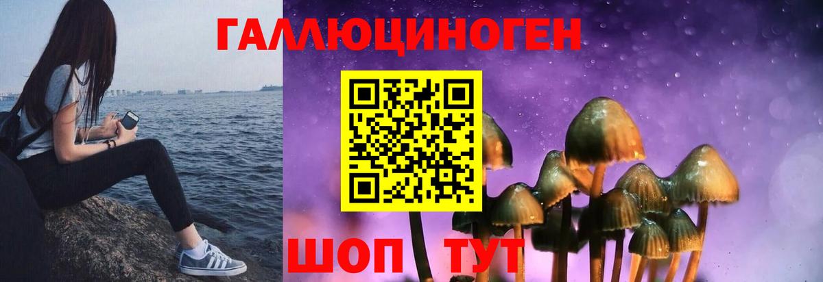 Галлюциногенные грибы мицелий Ишимбай